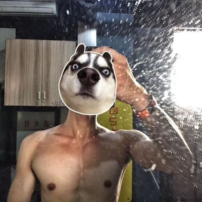 WXGDJF's profile picture
