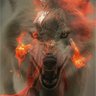 Фото профиля sham