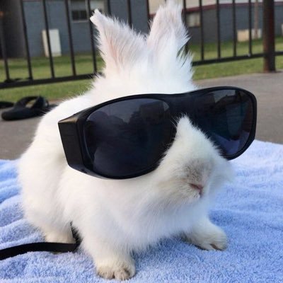 zzikeyme's profile picture