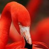 Elaine Overturff profil fotoğrafı