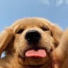 ✗ profil fotoğrafı