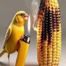@MarsalRich profil fotoğrafı