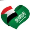 Фото профиля Eng. Wael Al-Qousi
