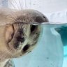 カメさん🐢 profil fotoğrafı