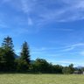 Фото профиля QSwitzerland