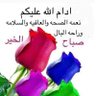 Фото профиля ابو فياض