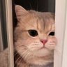 أمجـاد .'s profile picture