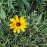 Фото профиля Kate Adams
