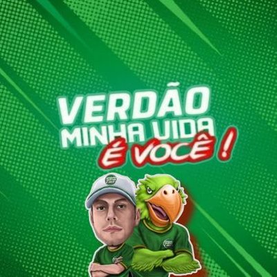 VerdaoMVVC's profile picture