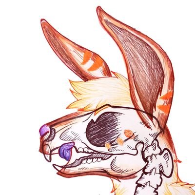 AMORDER_1's profile picture