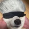Ya boi Ty's profile picture
