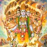 Brijesh 的头像