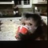 omar's profile picture