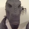 Profilbild von Hokies Rex