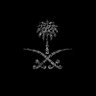 Abdulaziz Alghanm🇸🇦🐪's profile picture