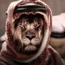 Фото профиля Sher khan