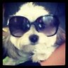 Profilbild von Smith