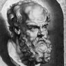 The Paradoxical Commentator 的头像