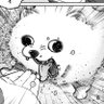 おきく 的头像