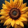 🌻زهرة تباع الشمس🌻's profile picture