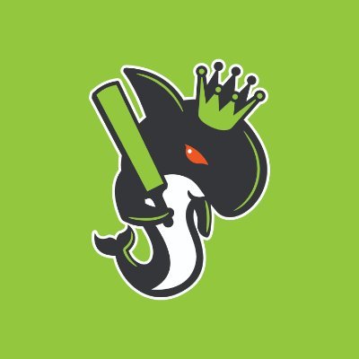 Seattle Orcas's profile picture