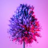 Фото профиля Deepak Marskole