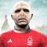 Wilse's profile picture