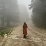Фото профиля فاطمة الأحمدي