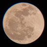 BLESSED 的头像
