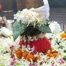 जय बाबा बासुकीनाथ हर हर महादेव's profile picture
