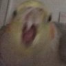 blue's profile picture
