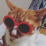 もこちゃ's profile picture