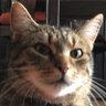 Profilbild von Martin