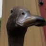 Gaspacho's profile picture
