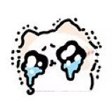 0宝's profile picture