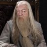 Albus_Dumbledore 的头像