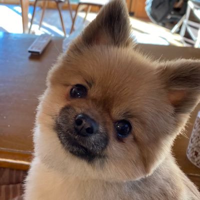 NiiYsnMspyZaN6n's profile picture