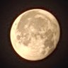 goodbyeWorld's profile picture