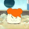 🐹よしめろ🐹()🎴 的头像