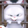 Xipaia 的头像