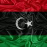 khamis afrij alzaaydi's profile picture