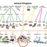 AllGodsRHumansVision profil fotoğrafı