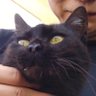 Profilbild von んずく 北陸で旅するように暮らしてます