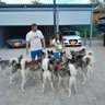 Crypto9Wolves🐺 的头像