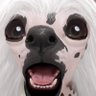 Profilbild von rebs