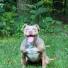 Jbooz's profile picture