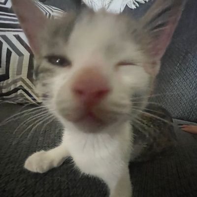 alyaaangggg's profile picture