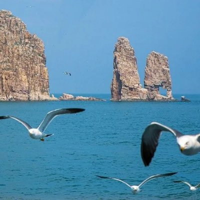 zhanghai367362's profile picture