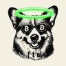 Profilbild von Holy Corgi 📈👑