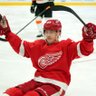 RedWingsAreSoBack's profile picture